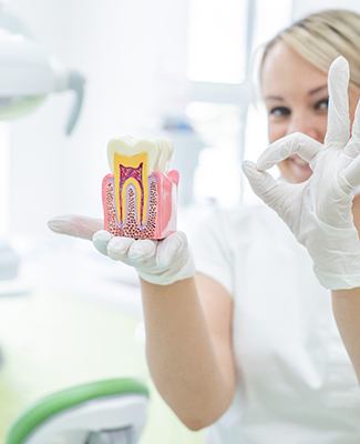 Emergency dentist in Federal Way holding model of a tooth