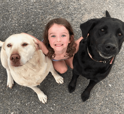 Two dogs, Sadie and Molly, with a little girl