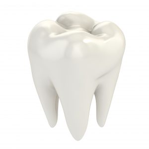 white tooth crown polished bright